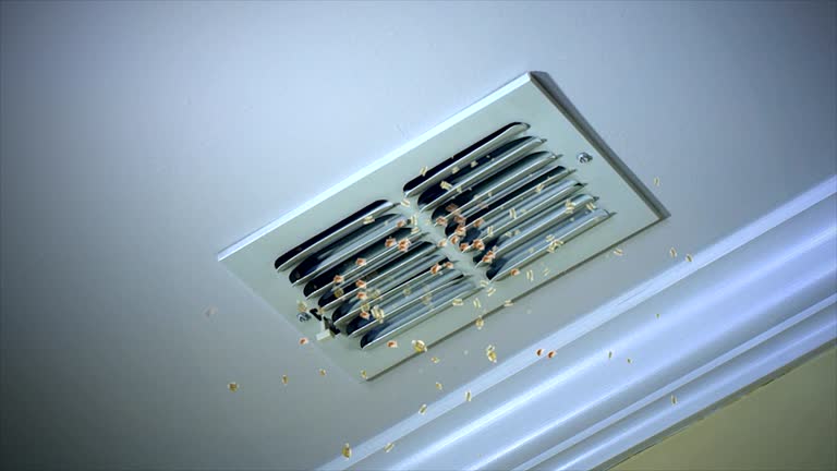 Best Professional Duct Cleaning Services  in Kittredge, CO