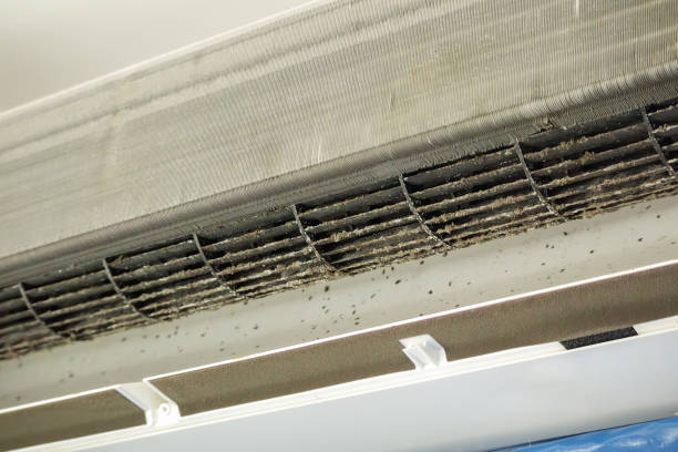 Best Ventilation Cleaning Services  in Kittredge, CO