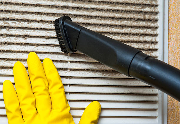 Best Ductwork Cleaning Services  in Kittredge, CO
